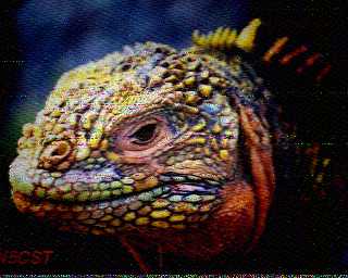SSTV_P1